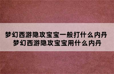 梦幻西游隐攻宝宝一般打什么内丹 梦幻西游隐攻宝宝用什么内丹